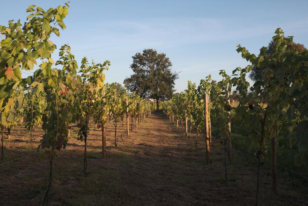 1720 Quinta Da Cancela Guimaraes